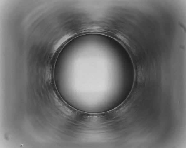X0000102251458200807251311