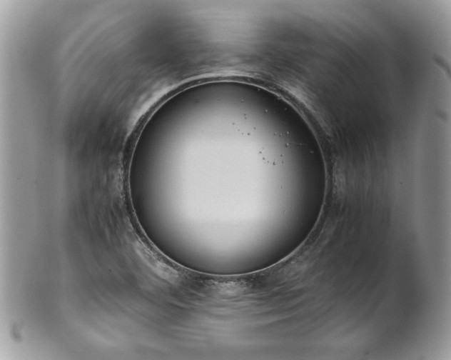 X0000102251460200807251311