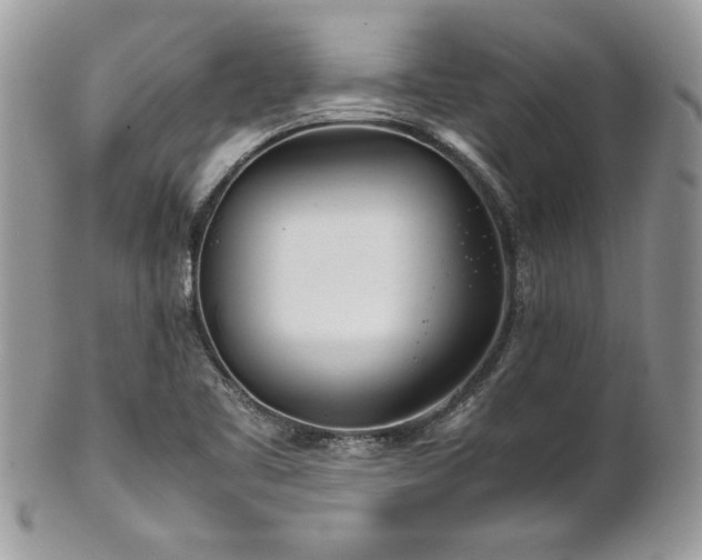 X0000102251461200807251311