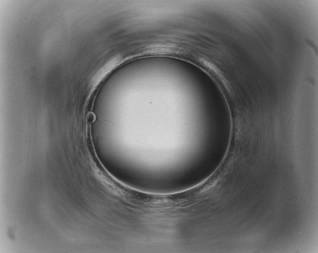 X0000102251467200807251311