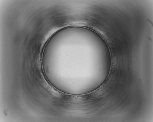 X0000102251470200807251311