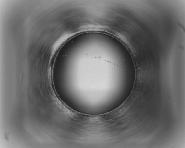 X0000102251472200807251311