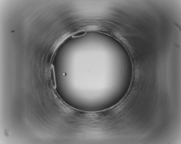 X0000102251473200807251311