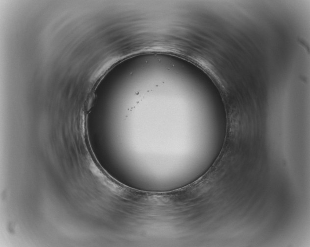 X0000102251476200807251311