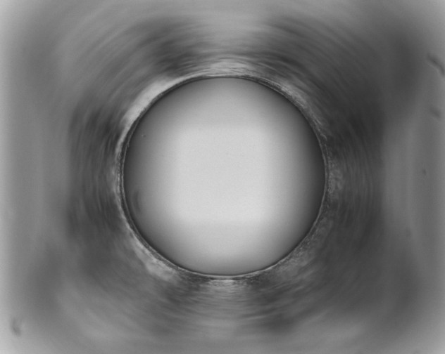 X0000102251478200807251311