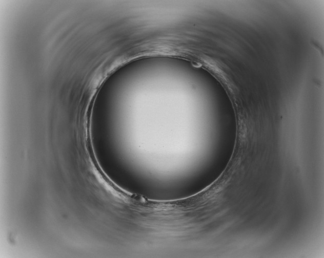 X0000102251479200807251311