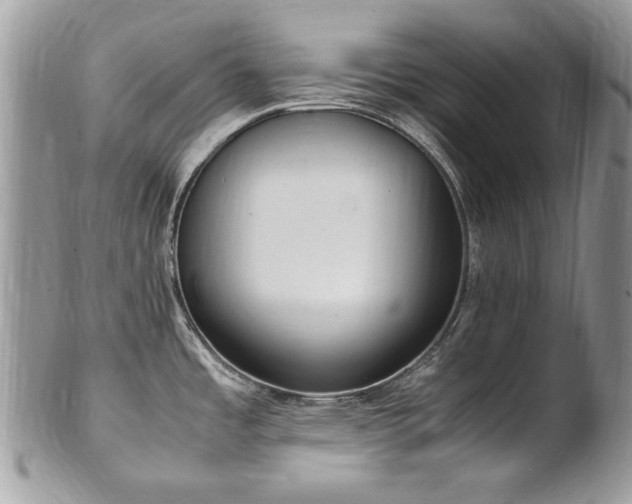 X0000102251485200807251310