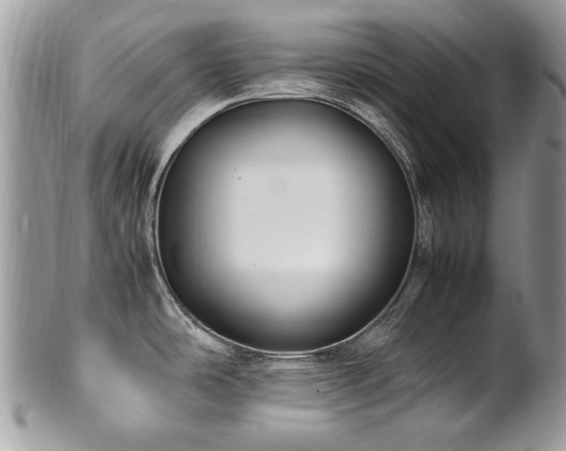 X0000102251486200807251310