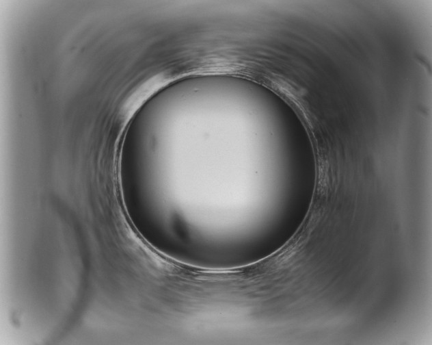 X0000102251487200807251310