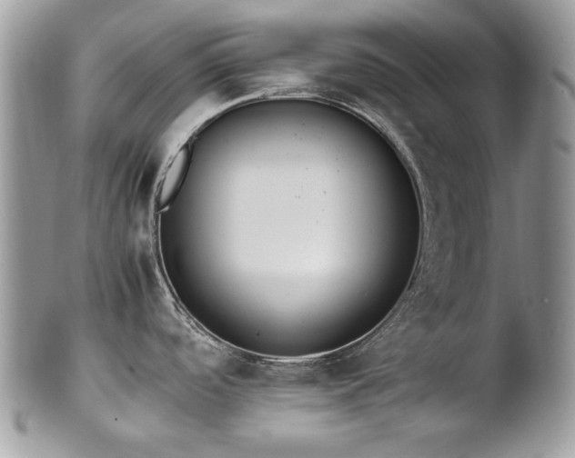 X0000102251488200807251310