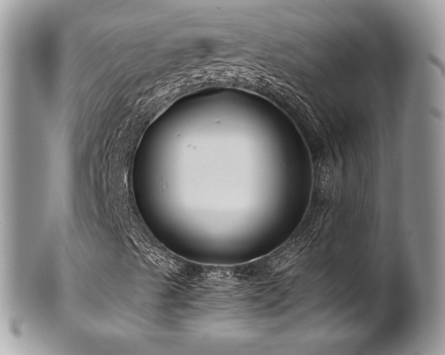 X0000102251489200807251310