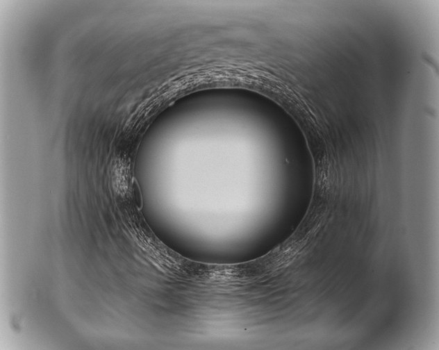 X0000102251490200807251310