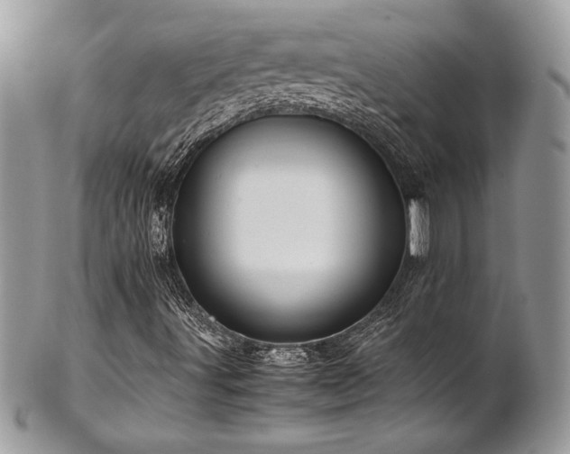X0000102251491200807251310