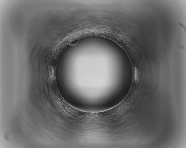 X0000102251492200807251310