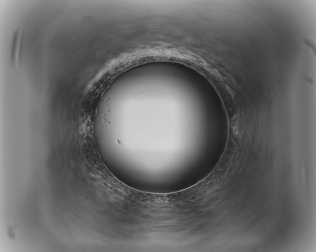 X0000102251495200807251310