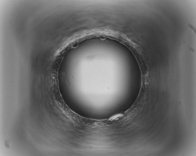 X0000102251496200807251310