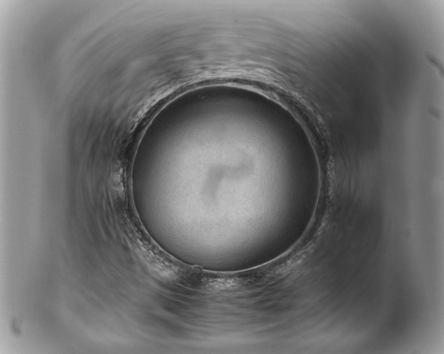 X0000102251497200807251310