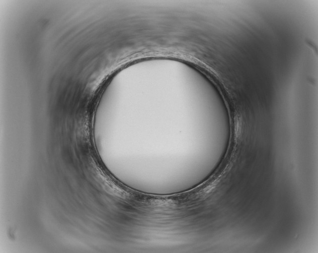 X0000102251498200807251310