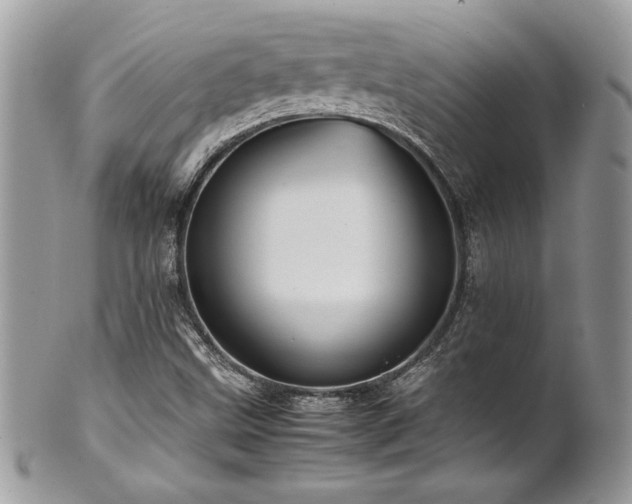 X0000102251499200807251310