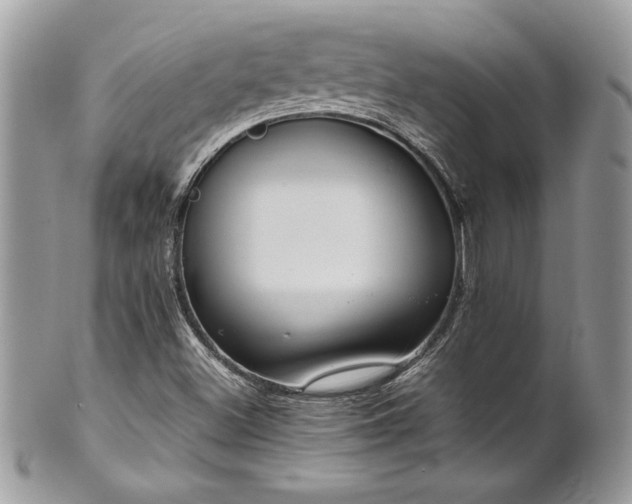 X0000102251500200807251310