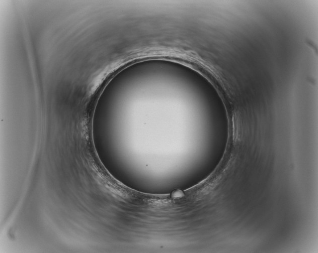 X0000102251501200807251310