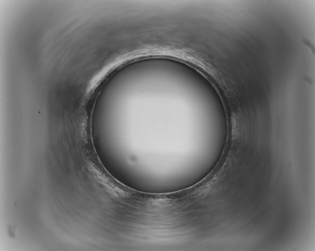 X0000102251502200807251310