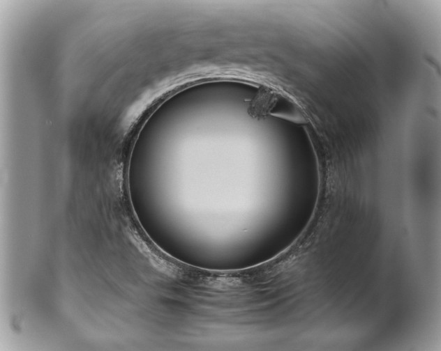X0000102251503200807251310
