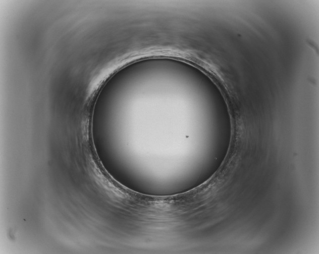 X0000102251504200807251310