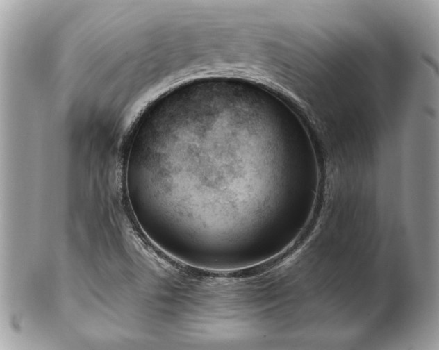 X0000102251506200807251310