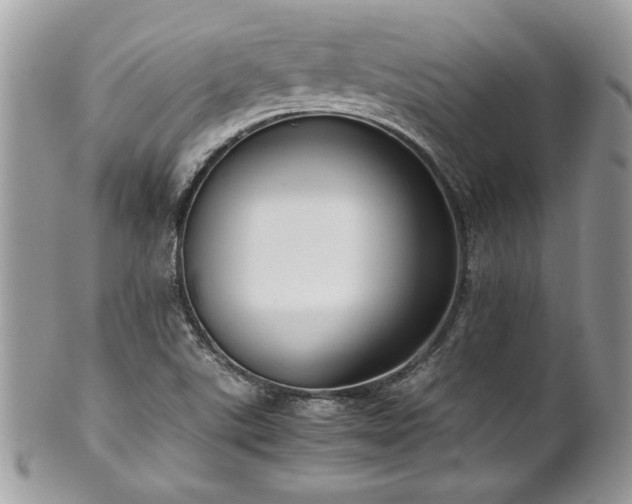 X0000102251507200807251310