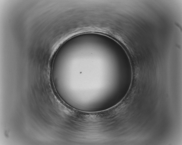 X0000102251508200807251310