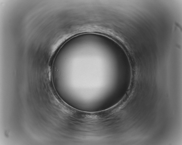 X0000102251509200807251310