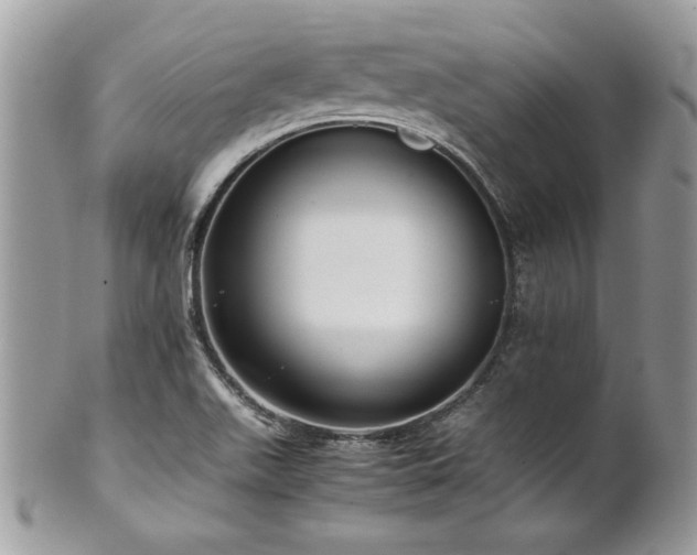 X0000102251511200807251310