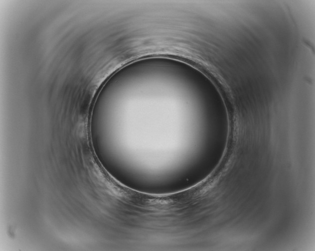 X0000102251513200807251310