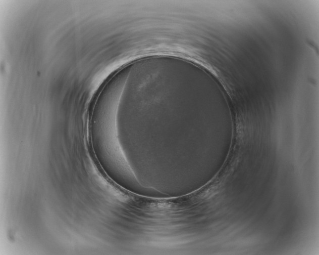 X0000102251515200807251310