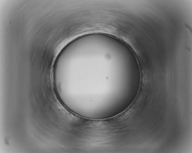 X0000102251516200807251310