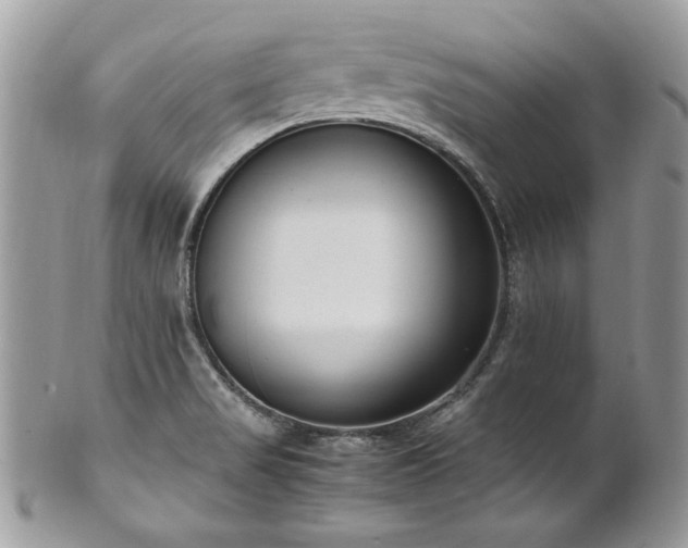 X0000102251517200807251310