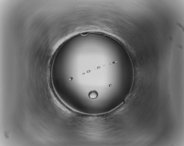 X0000102251518200807251310