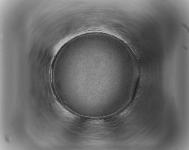 X0000102251519200807251310