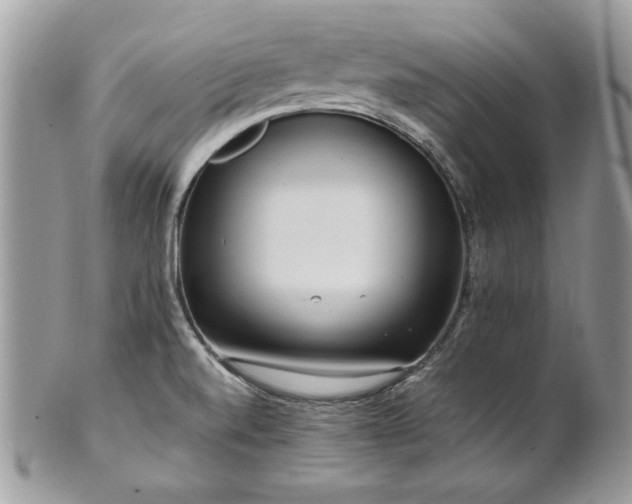 X0000102251520200807251310