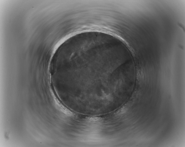X0000102251522200807251310