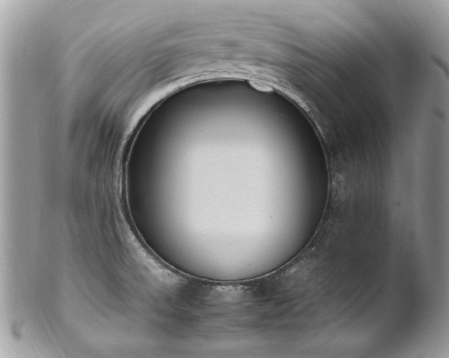 X0000102251523200807251310