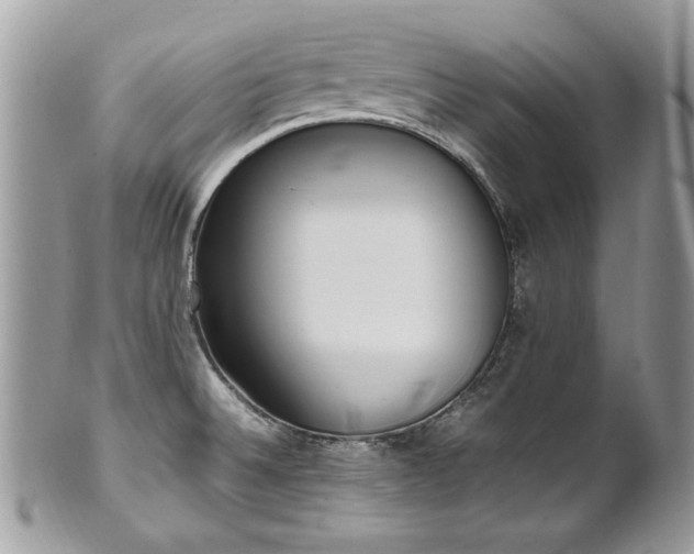 X0000102251524200807251310