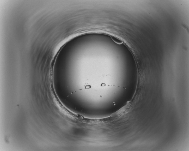 X0000102251526200807251310
