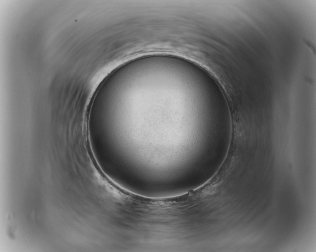 X0000102251527200807251310