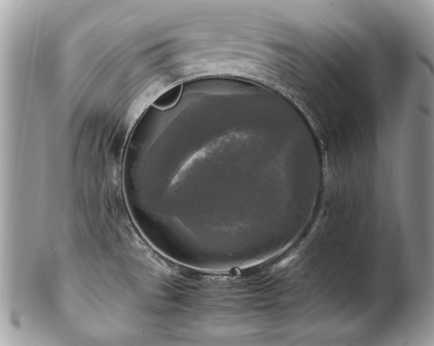 X0000102251529200807251310