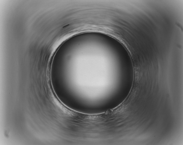 X0000102251531200807251310