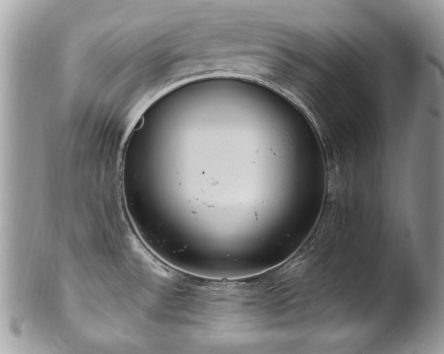 X0000102251532200807251310