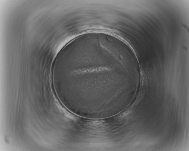 X0000102251533200807251310