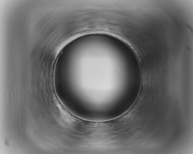 X0000102251534200807251310